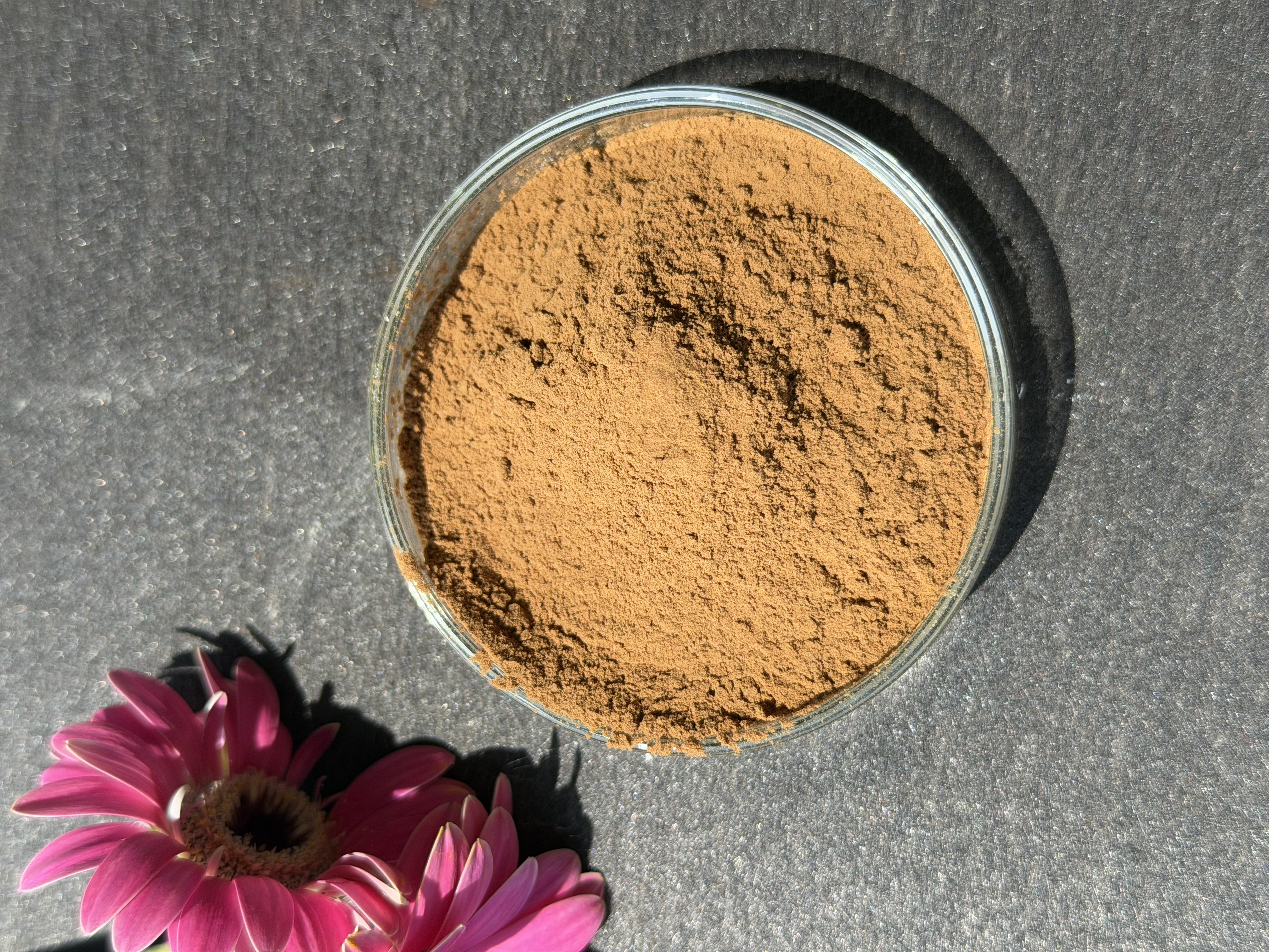 Artichoke Extract bulk ingredient product image