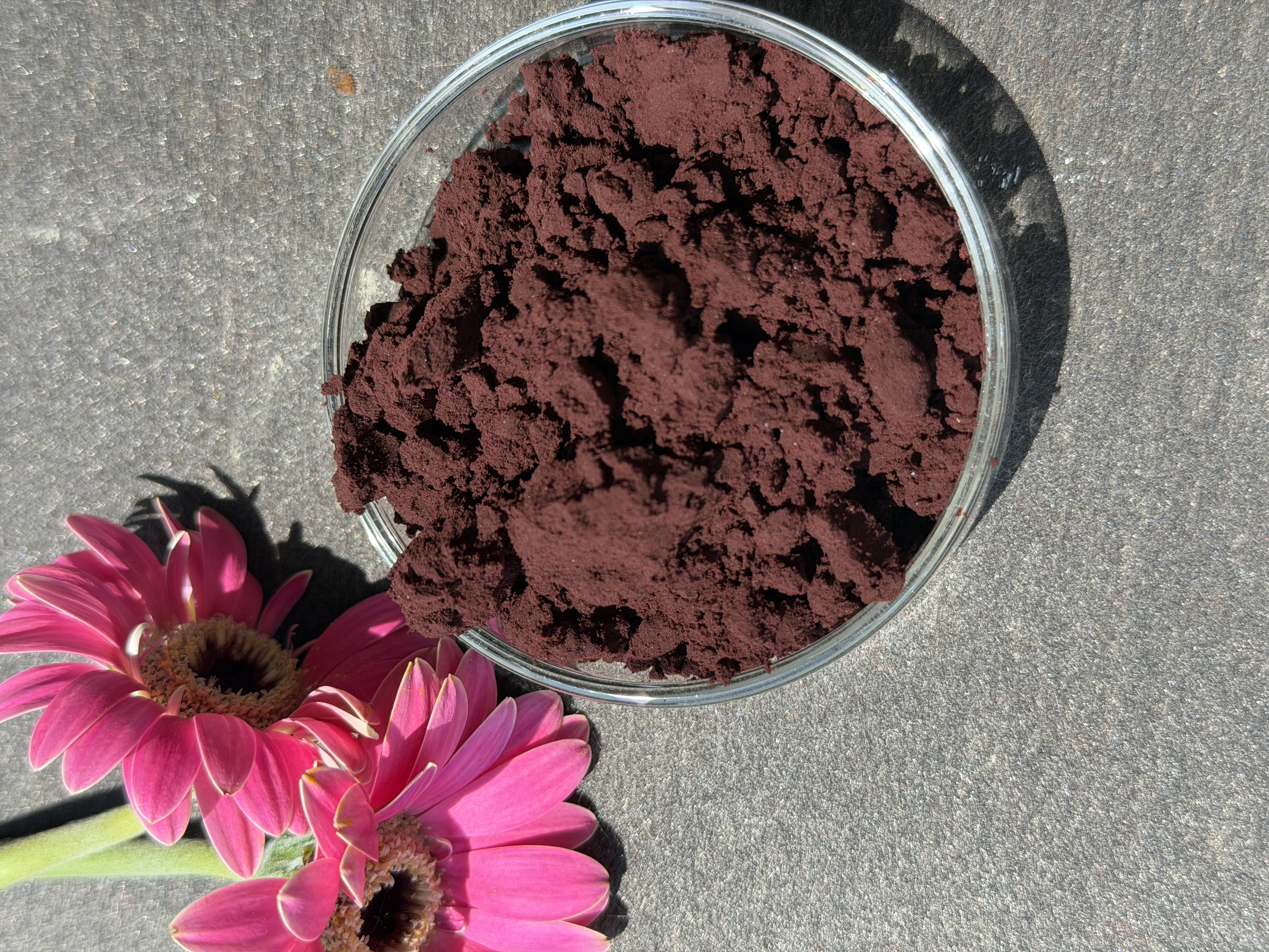 Astaxanthin Powder bulk ingredient product image