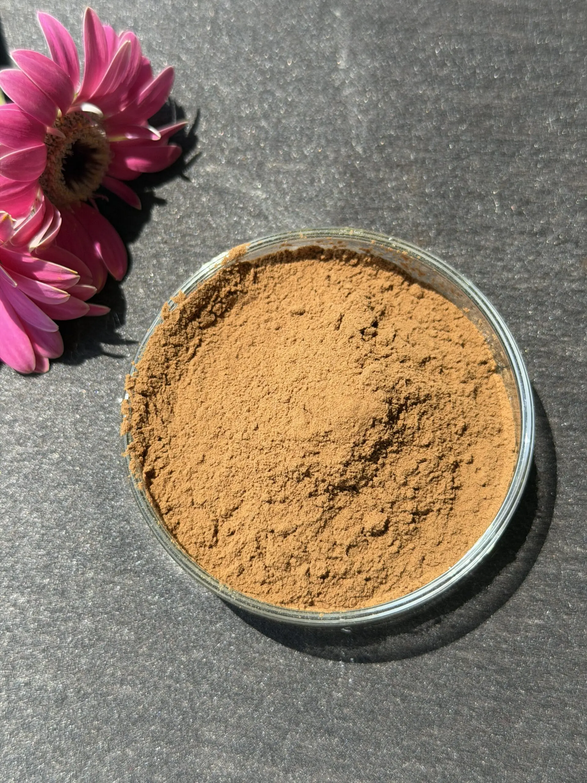 Astragalus Extract bulk ingredient product image