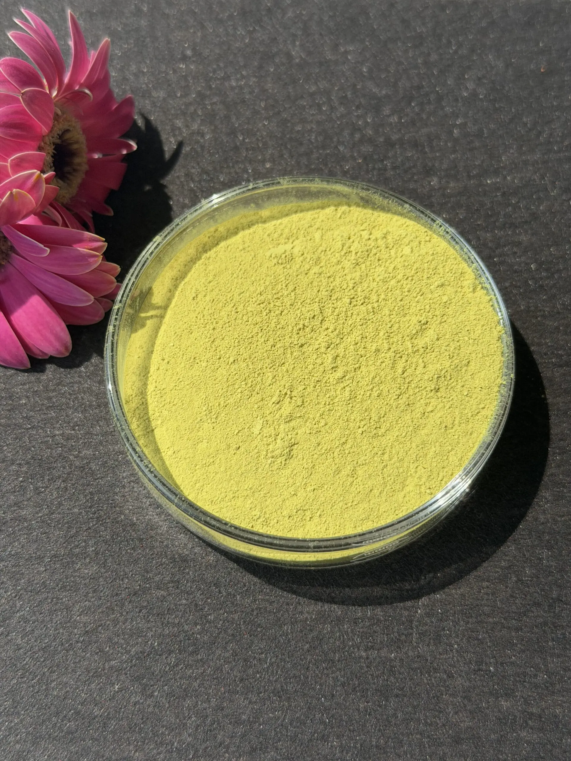 Berberine HCL bulk ingredient product image