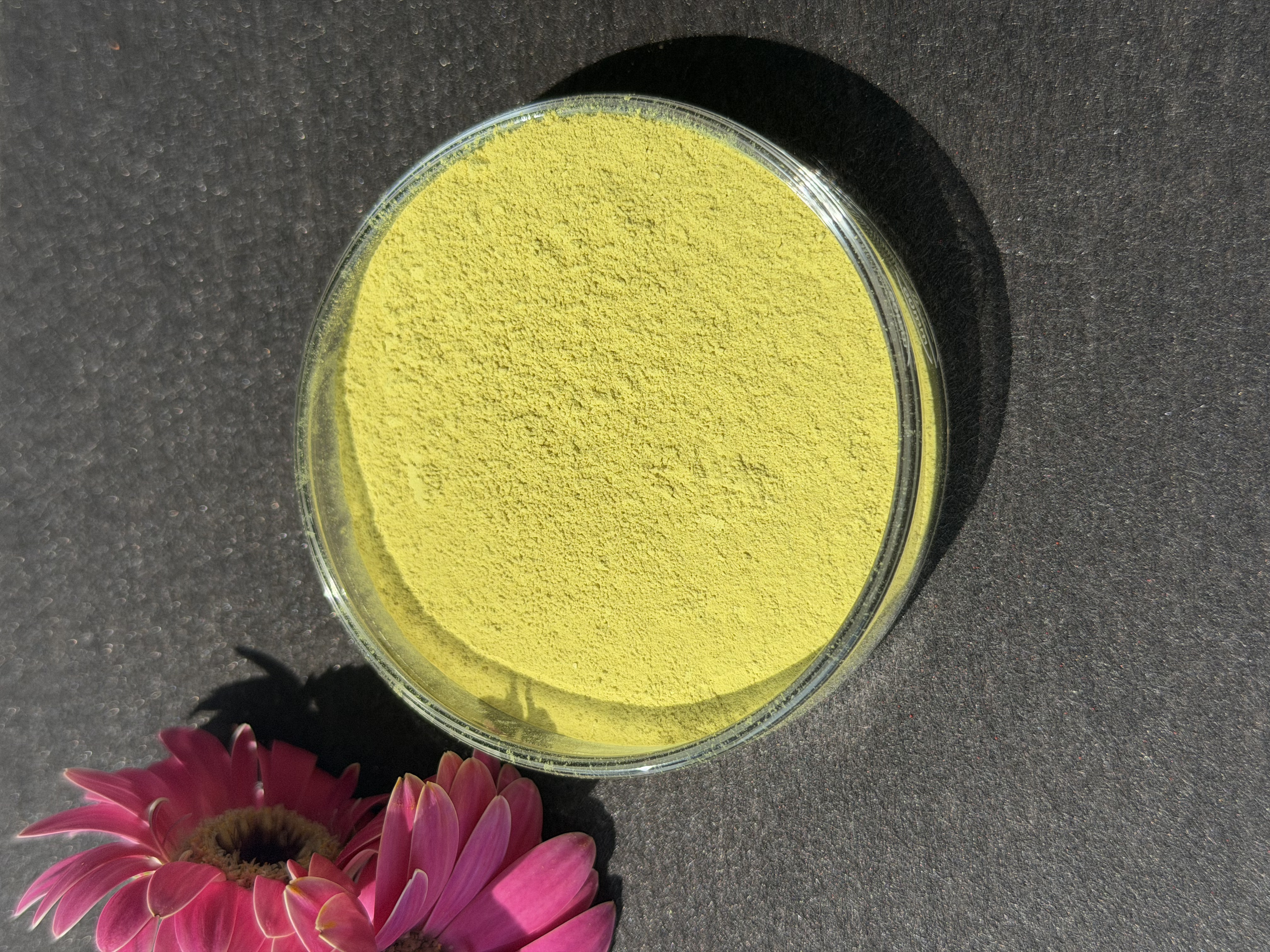 Berberine HCL bulk ingredient product image