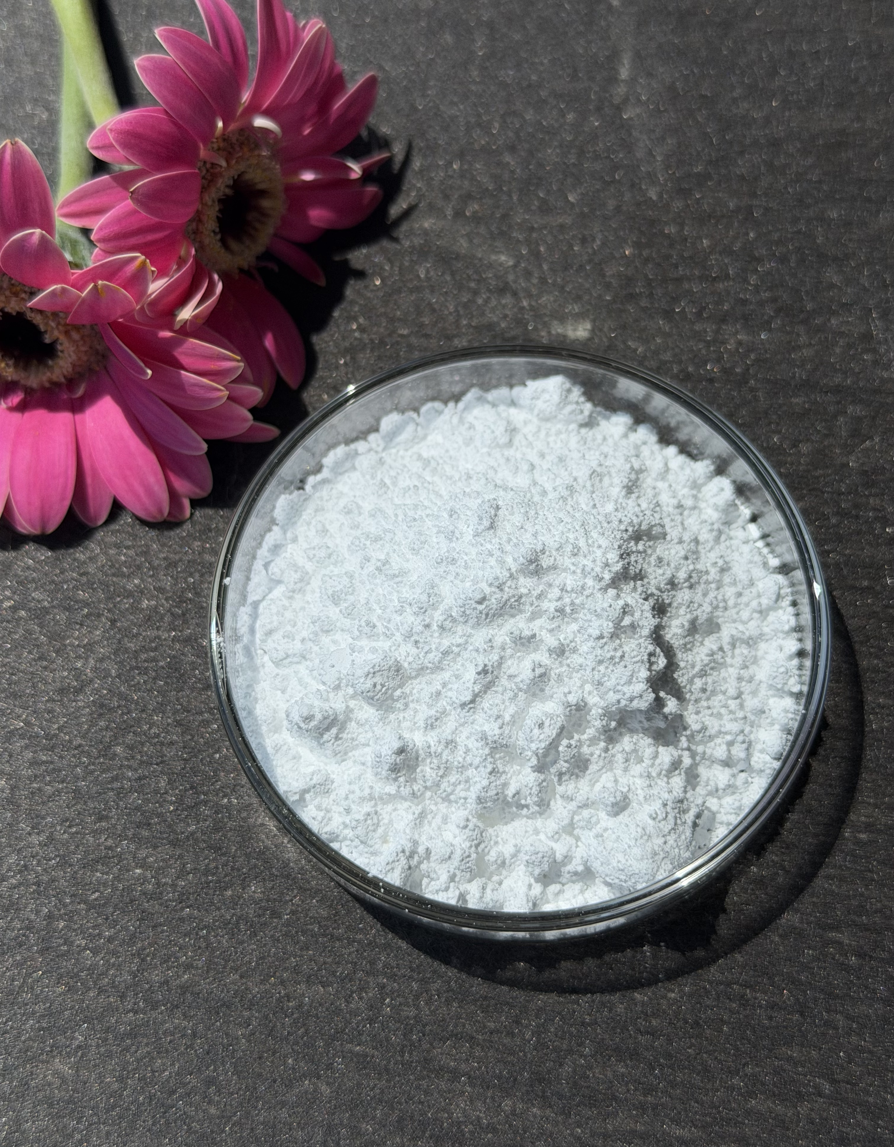 Citicoline (CDP Choline) 98% bulk ingredient product image