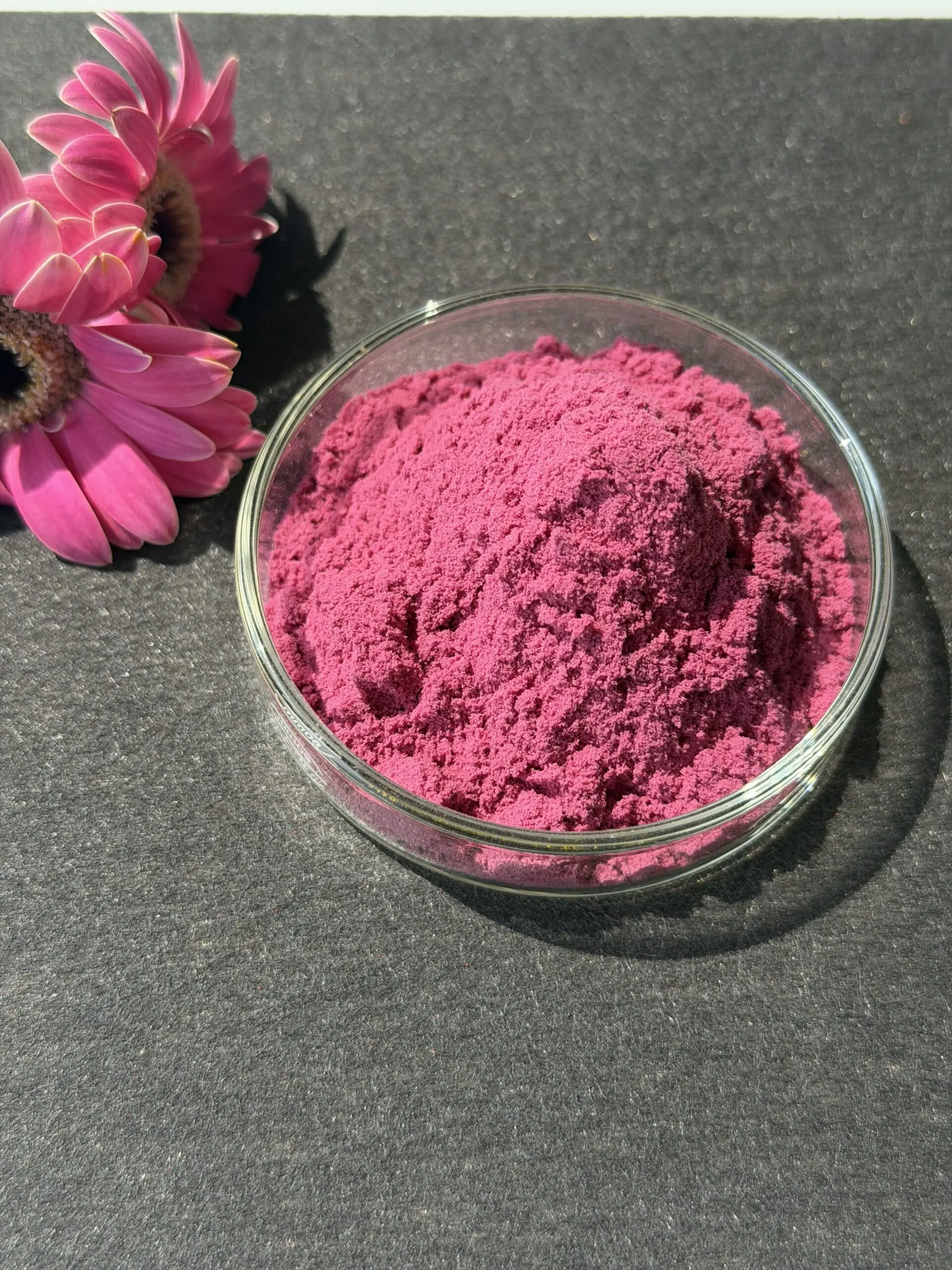 Cranberry Extract product visual