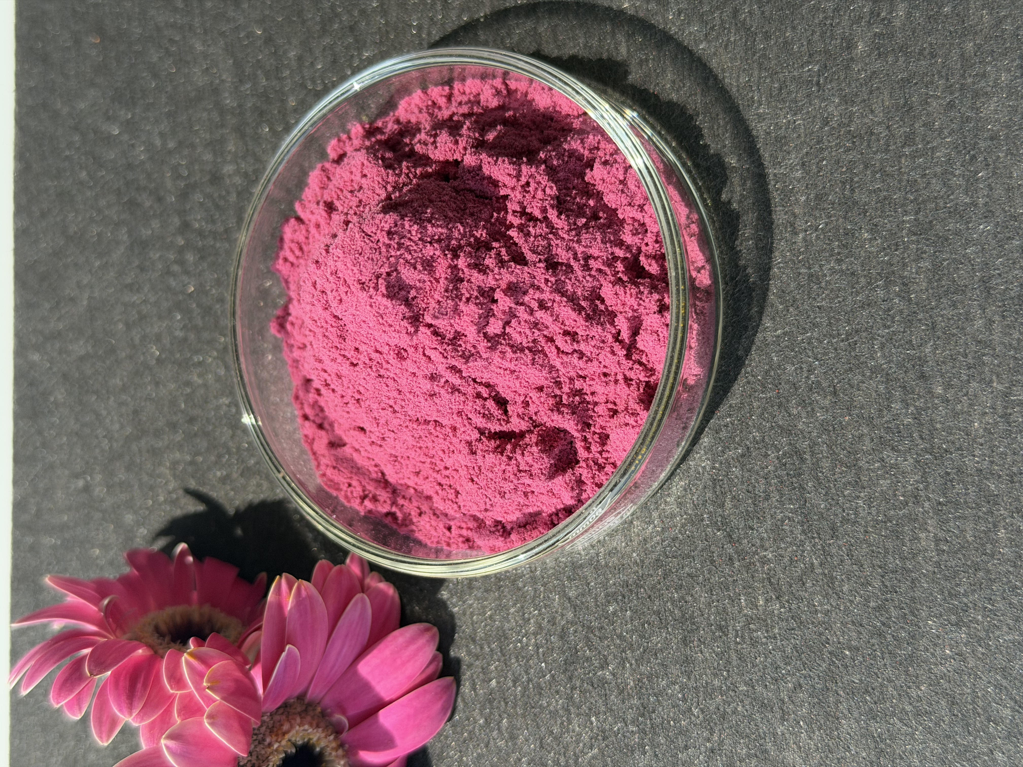 Cranberry Extract bulk ingredient product image