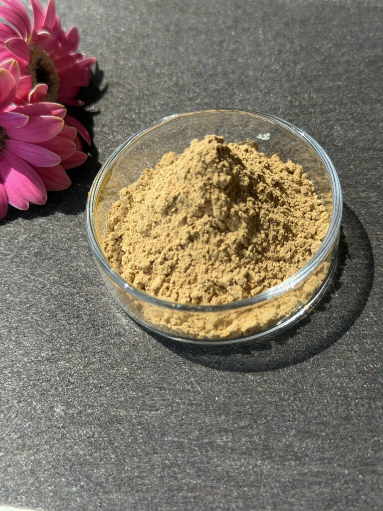 Ginkgo Biloba Extract product photo