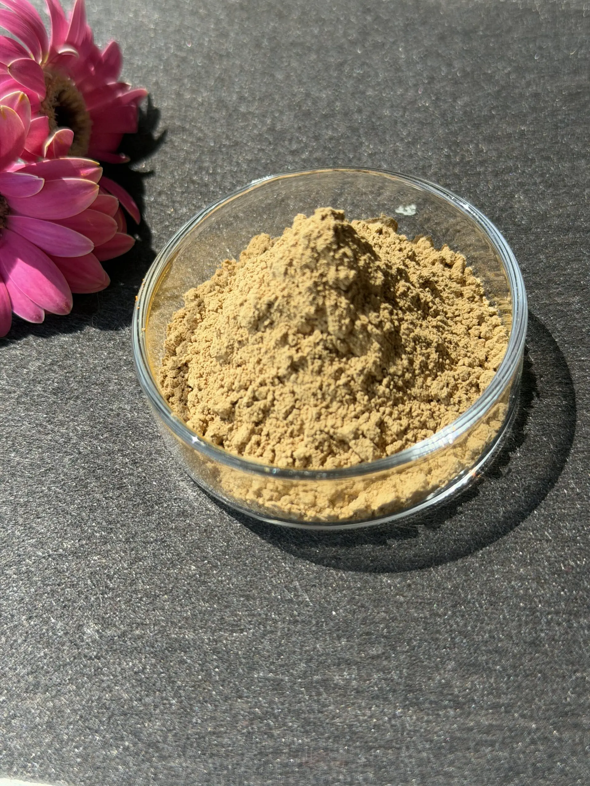 Ginkgo Biloba Extract bulk ingredient product image