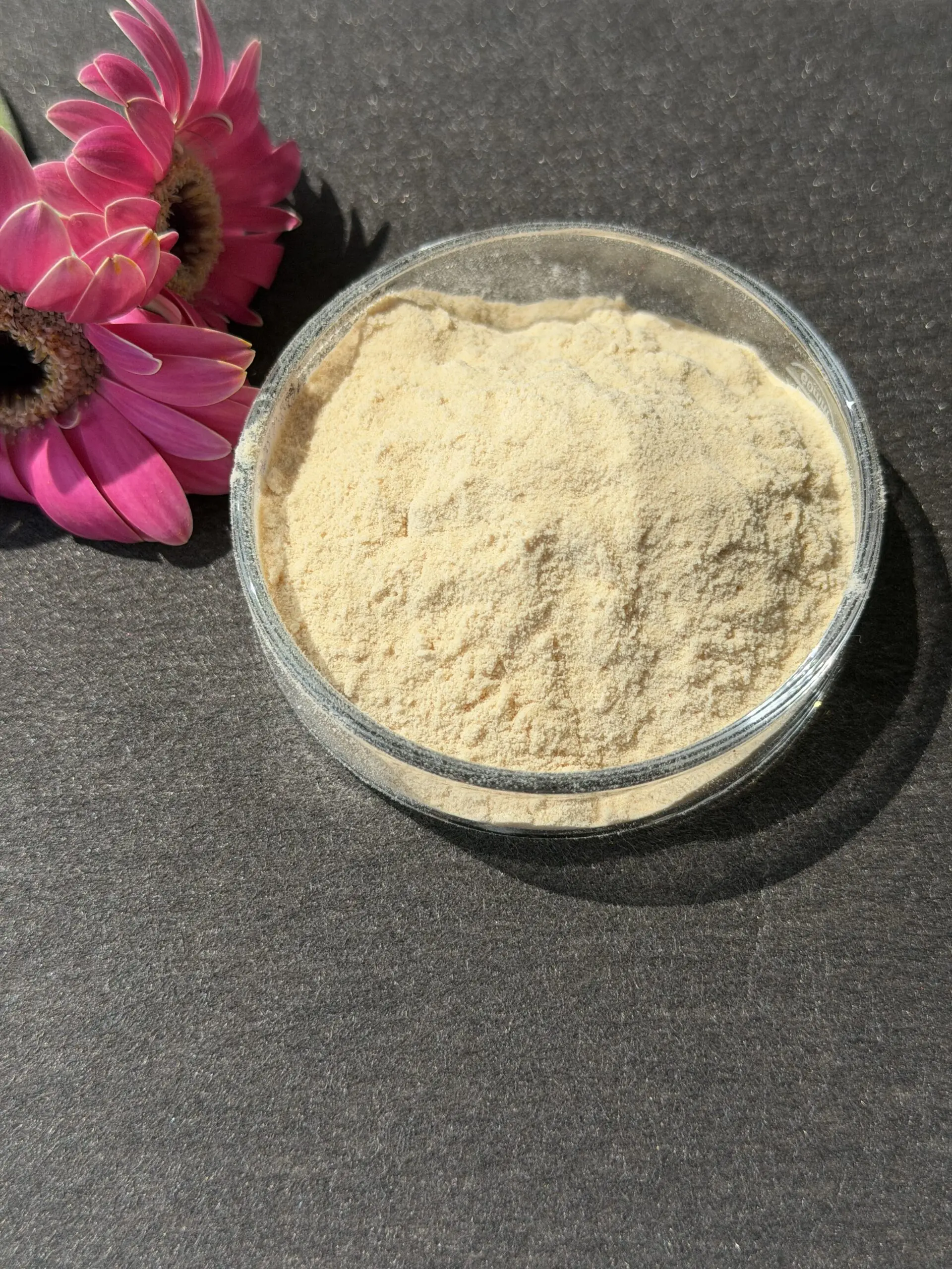 Ginseng Extract bulk ingredient product image