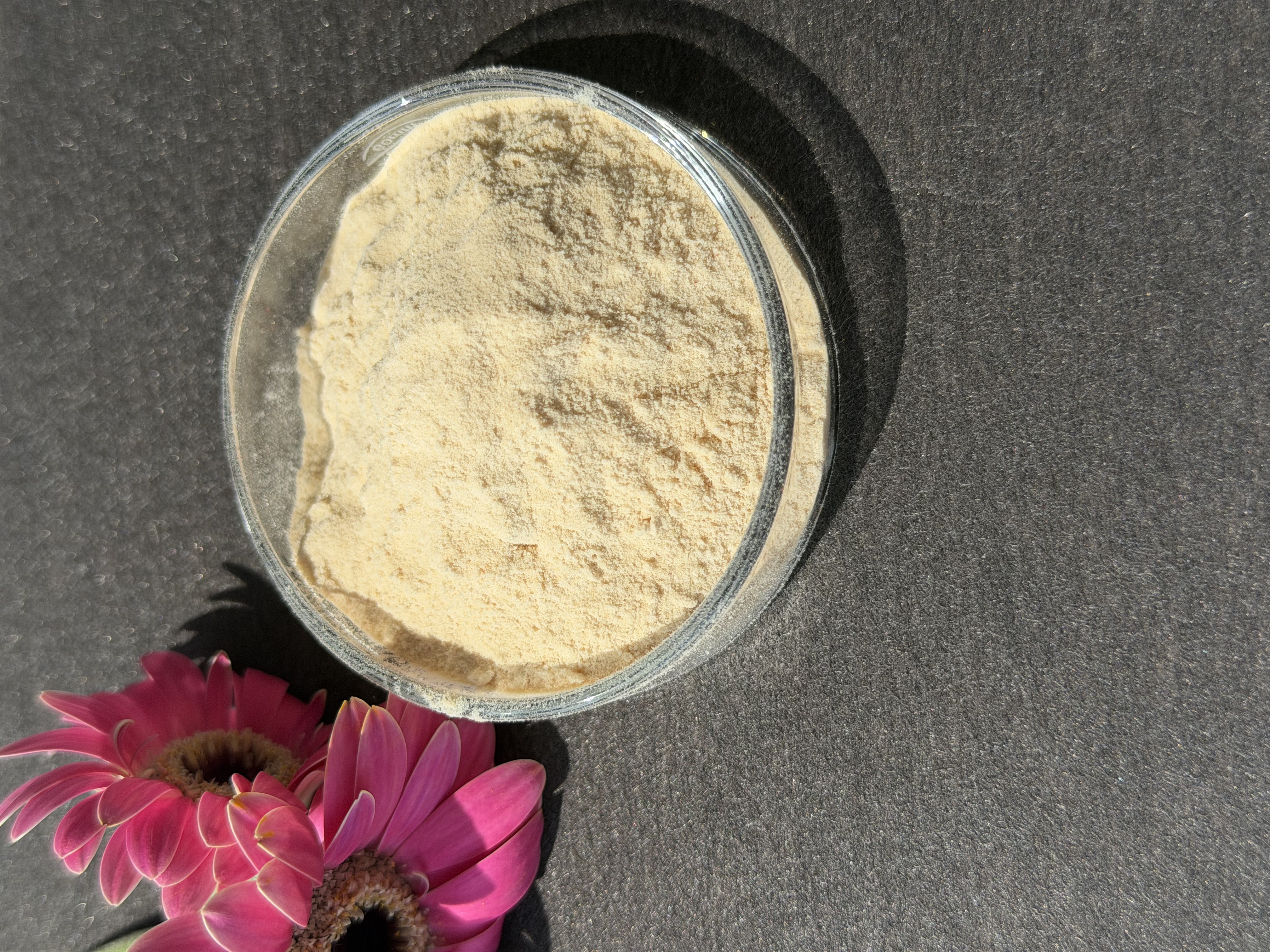Ginseng Extract bulk ingredient product image