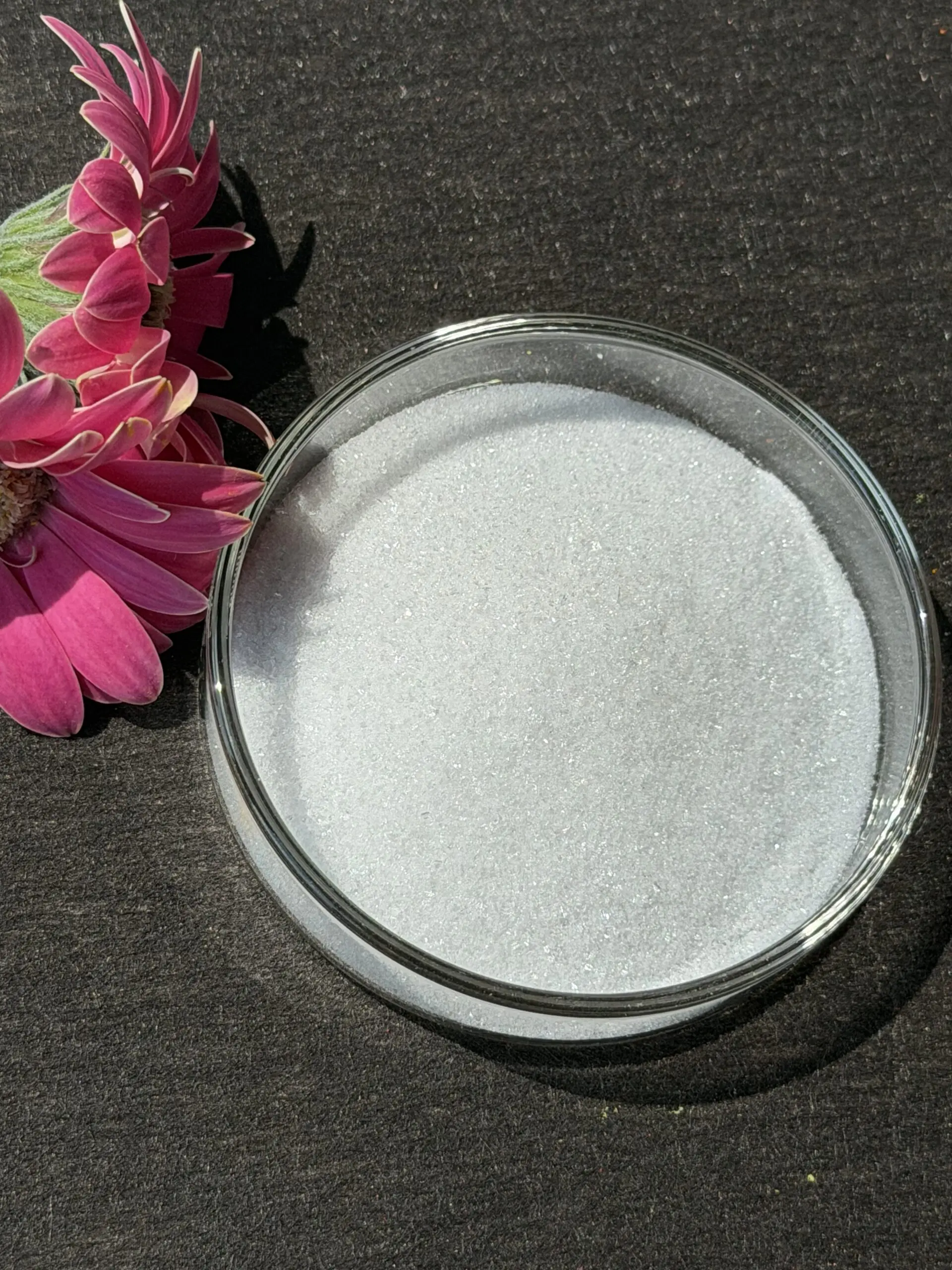 Bulk ergothioneine powder supplier for nutraceutical and supplement formulations