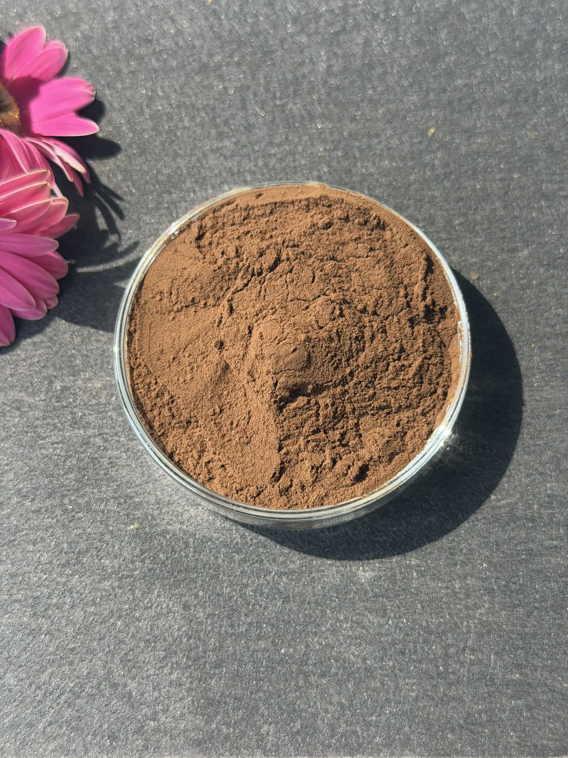 Maca Extract bulk ingredient product image