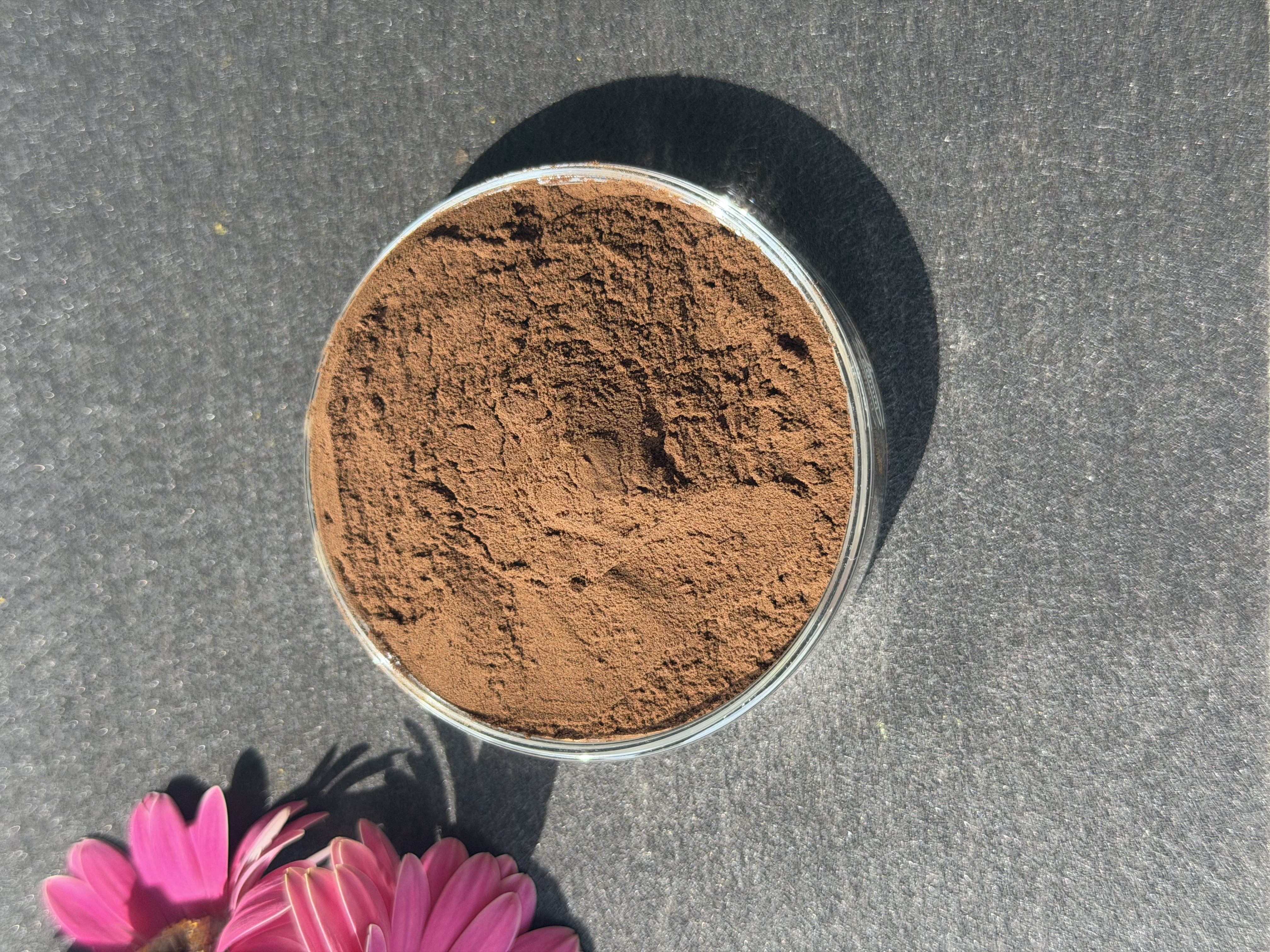Maca Extract bulk ingredient product image