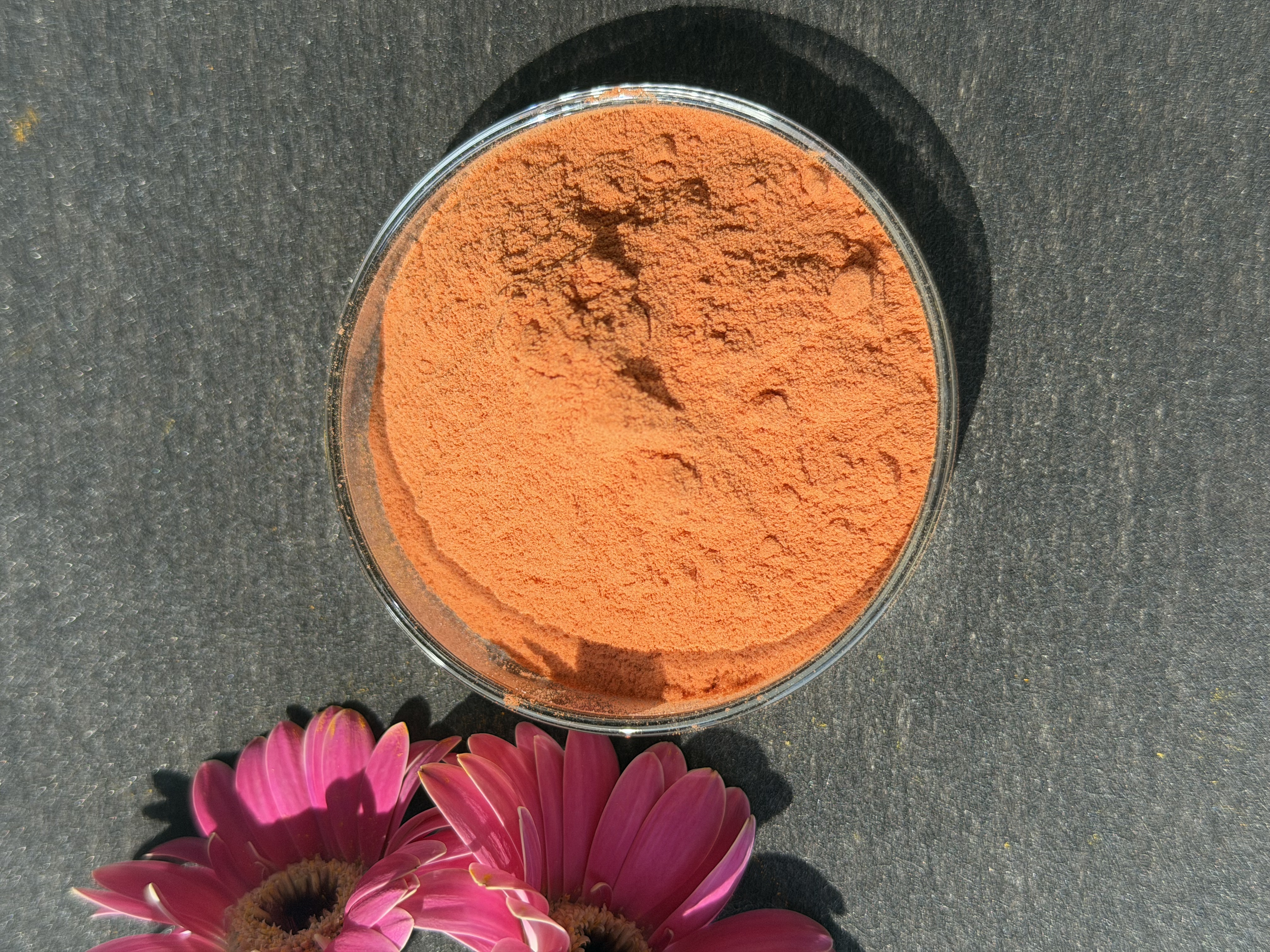 Marigold Extract bulk ingredient product image