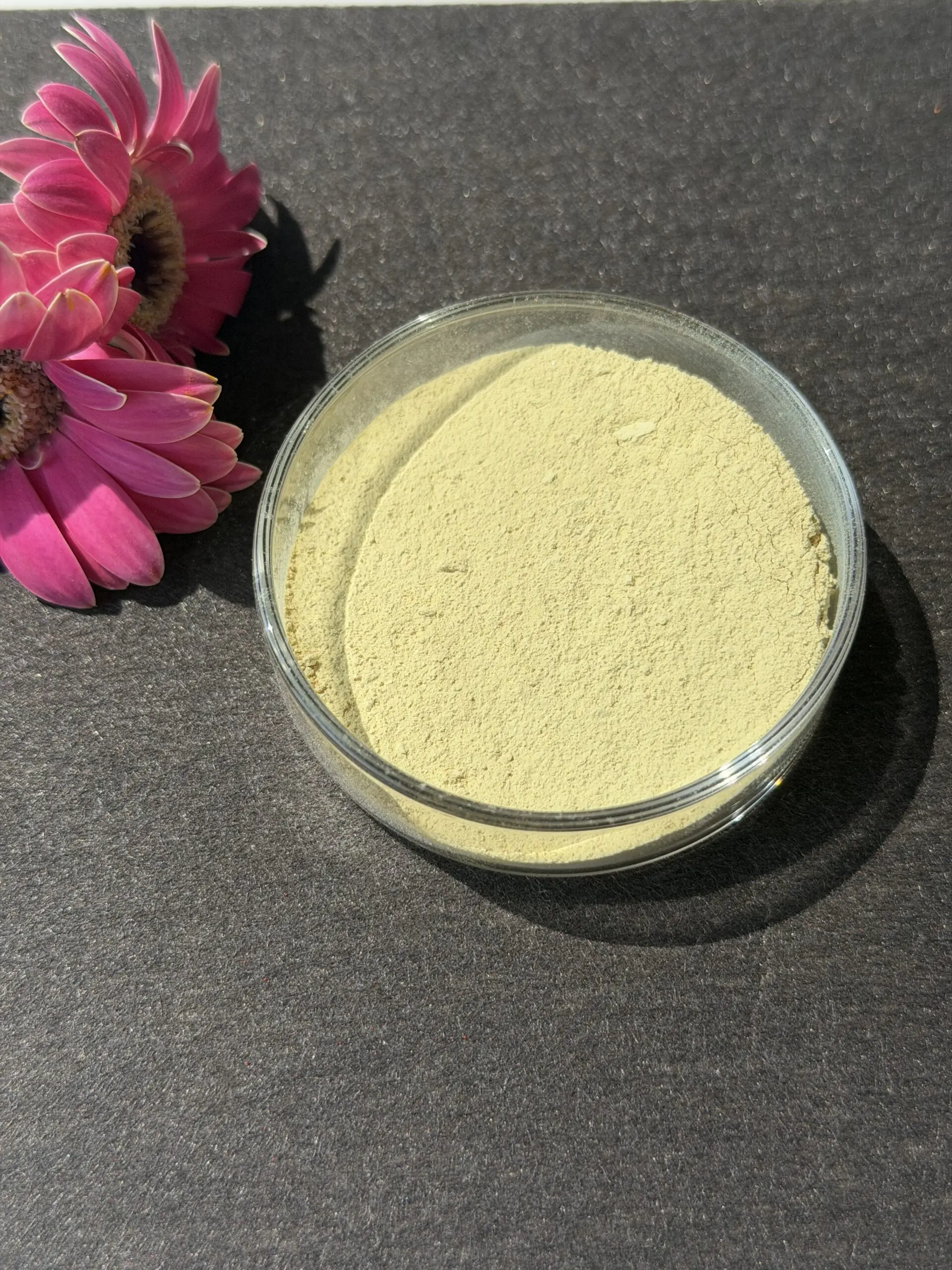 Scutellaria Baicalensis Extract bulk ingredient product image