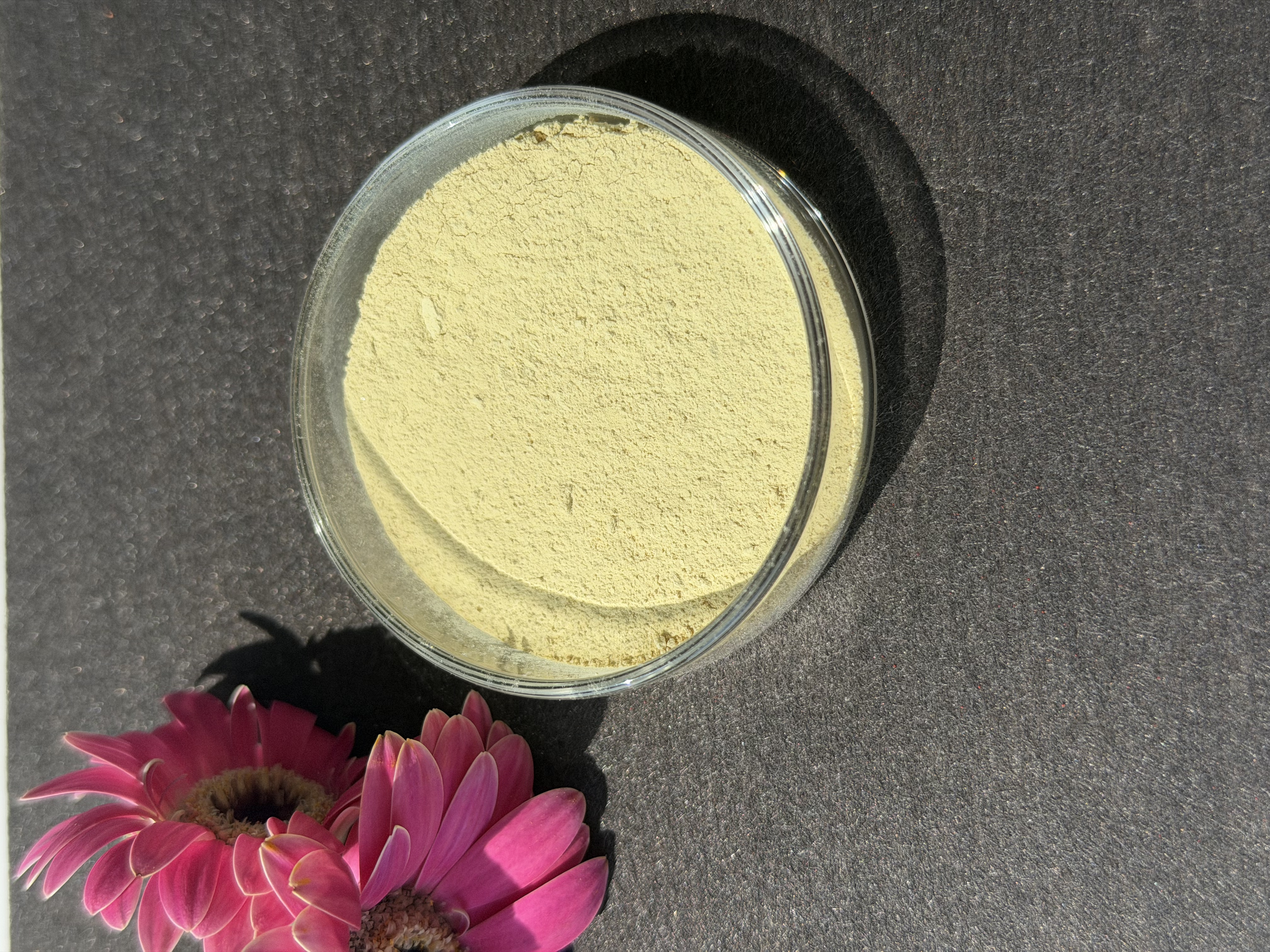Scutellaria Baicalensis Extract bulk ingredient product image
