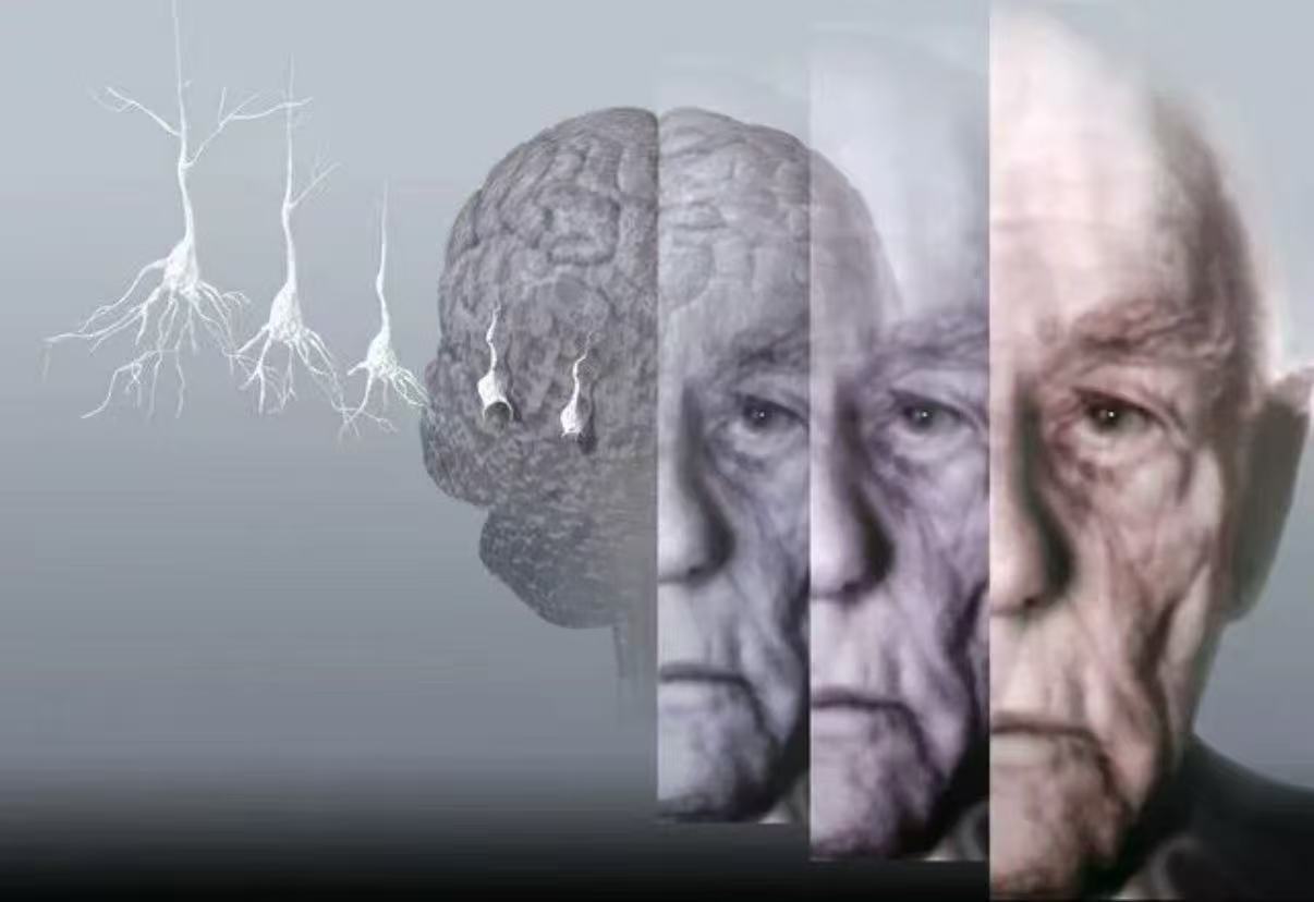 Illustration representing brain health and healthy aging