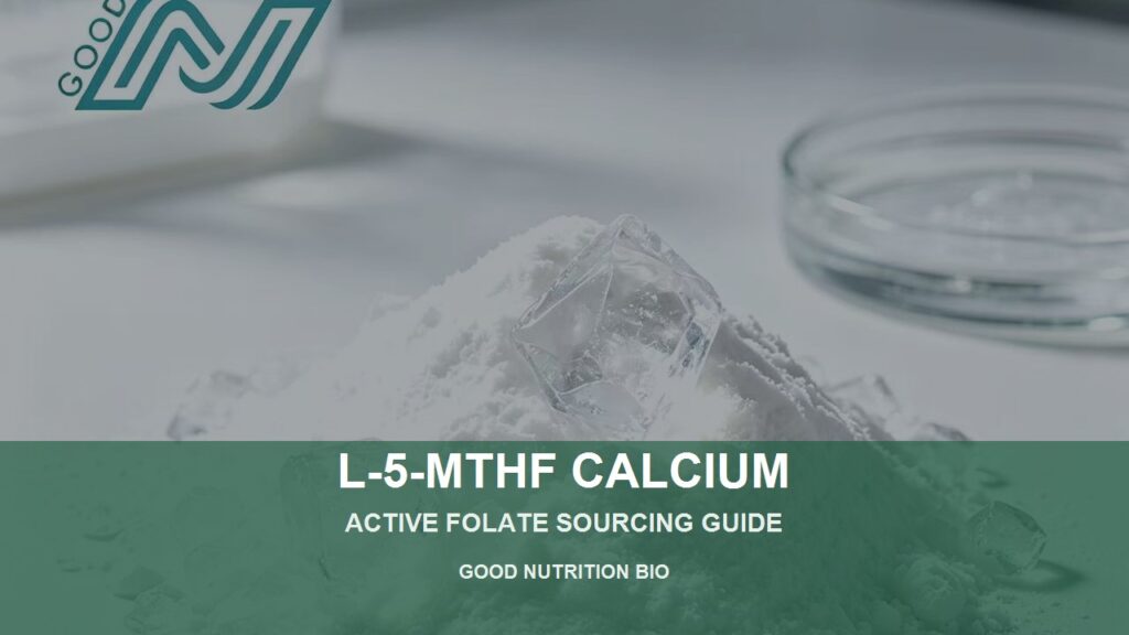 L-5-MTHF Calcium active folate sourcing guide cover image