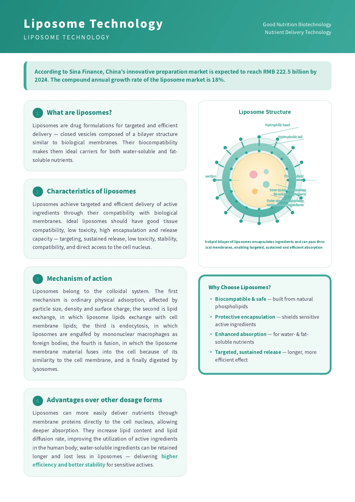 Liposome technology structure showing phospholipid bilayer and encapsulation benefits
